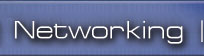 Networking and IT Outsourcing
